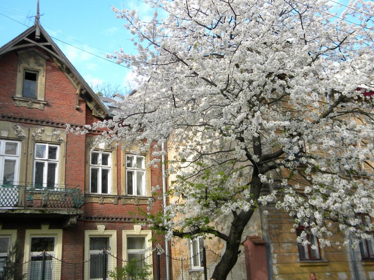 Studios At Anchevskih 3 Lviv Exterior photo